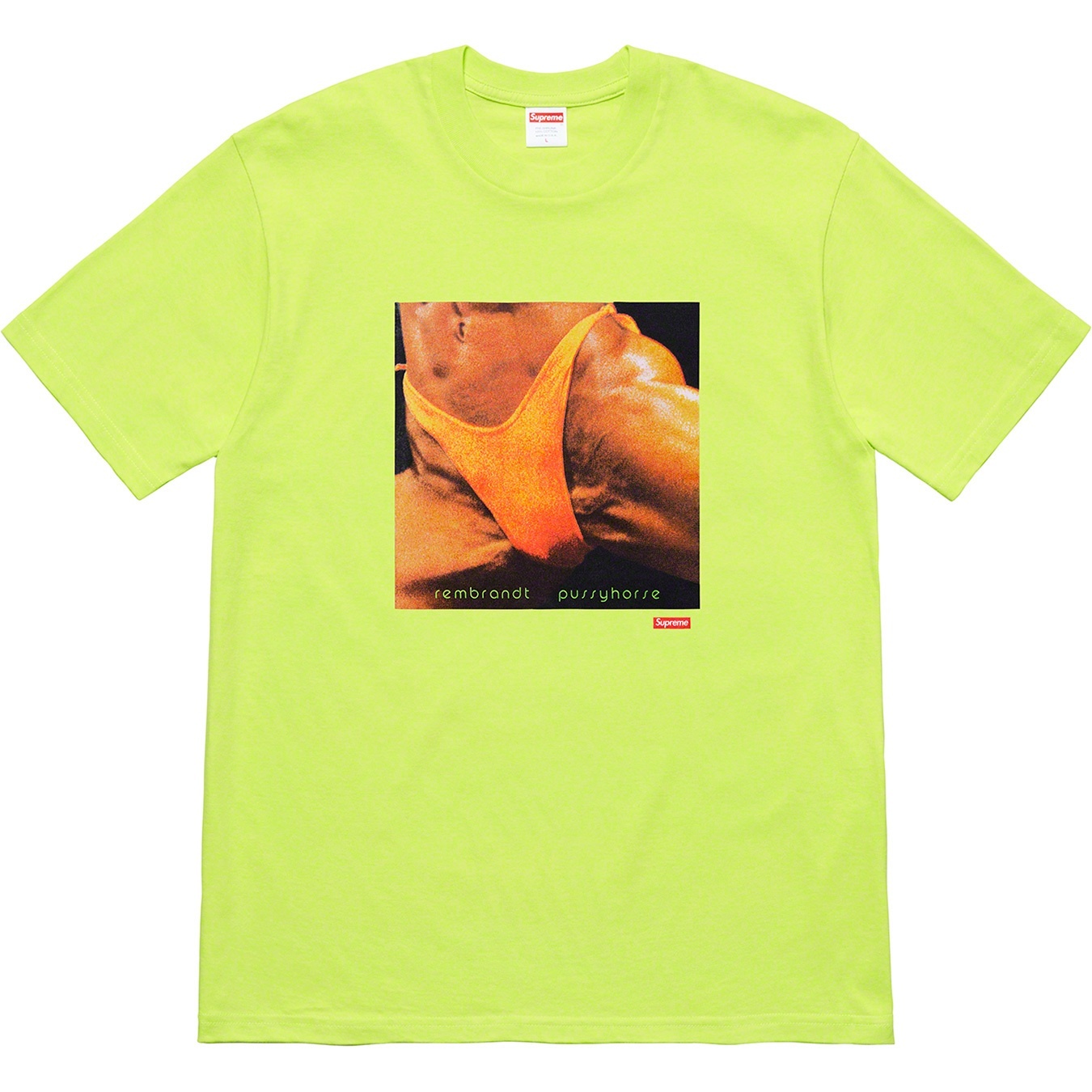 Supreme/Butthole SurfersRembrandt Pussyhorse Tee view 5